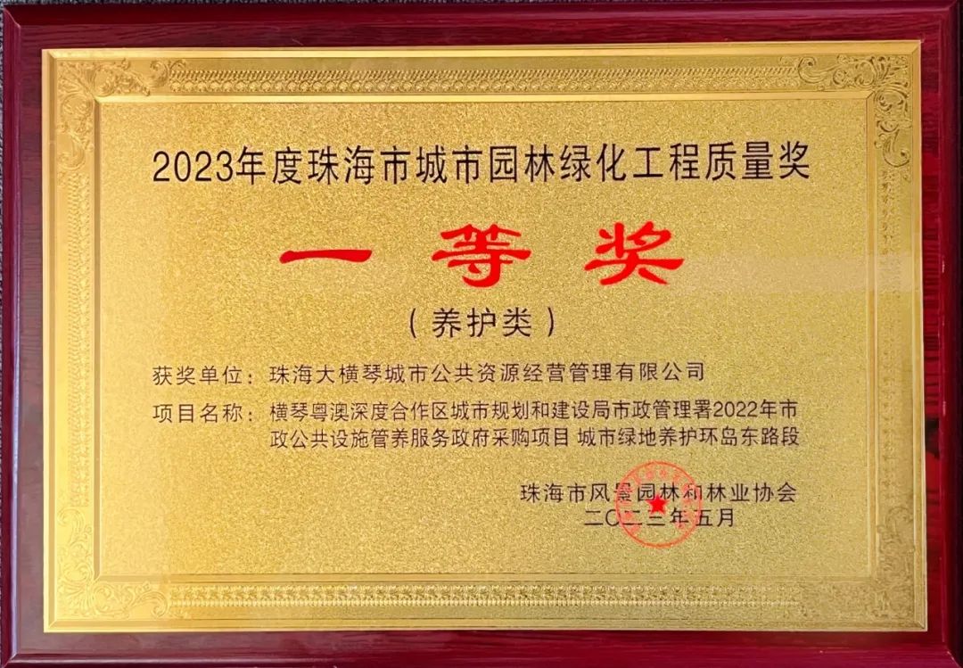 1706063939779827.jpg 3.jpg