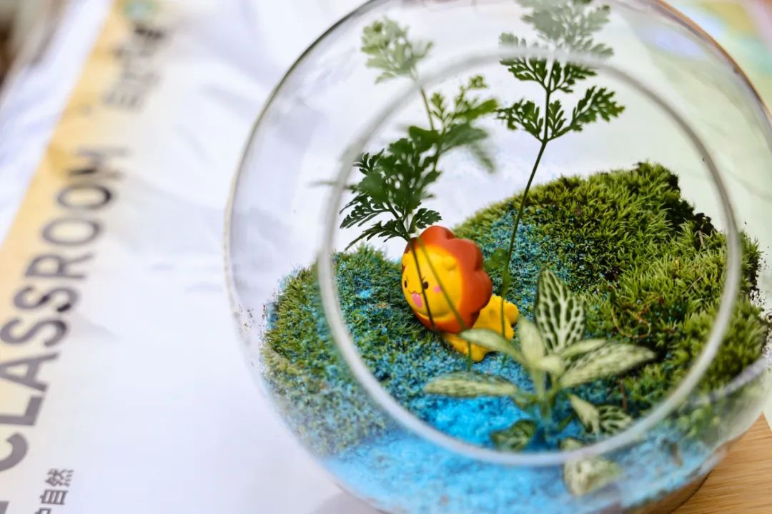 1708396339919498.jpg 6.jpg