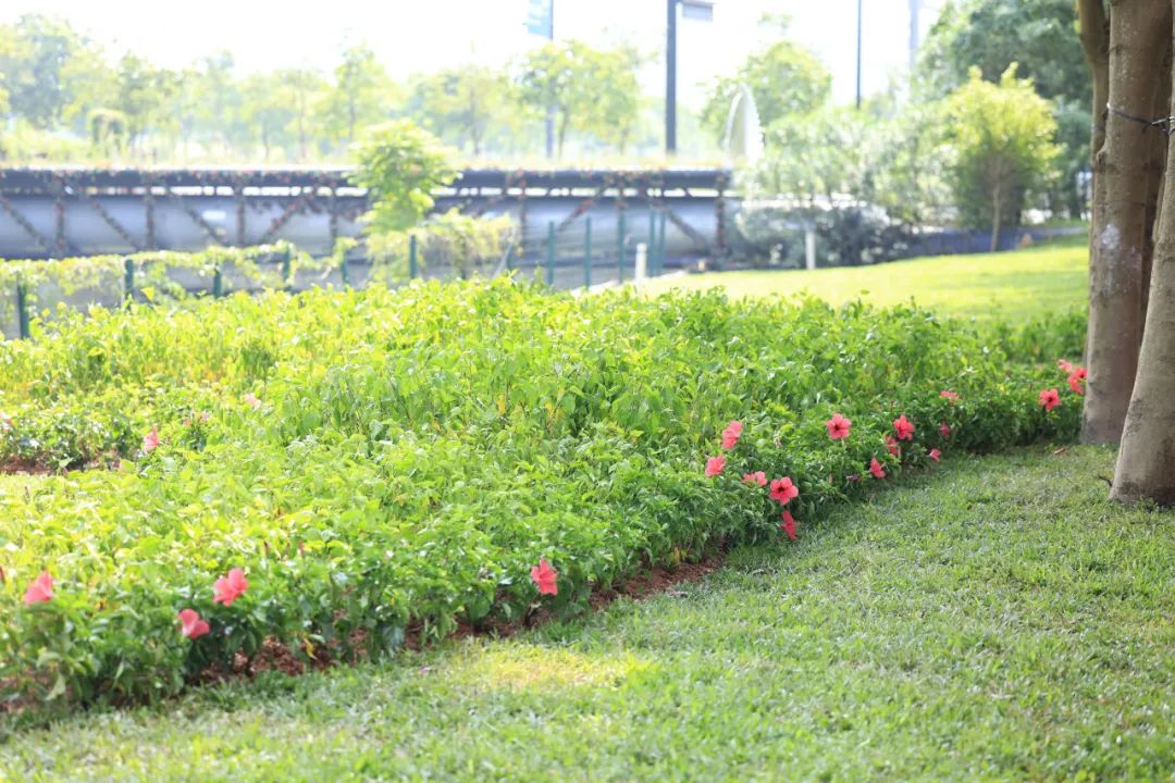 1728896993452078.jpg 27.jpg